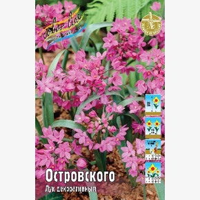 Лук декор. Островского