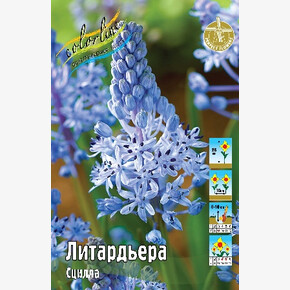 Сцилла Литардьера
