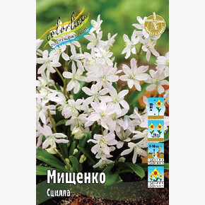 Сцилла Мищенко