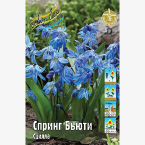 Сцилла Спринг Бьюти