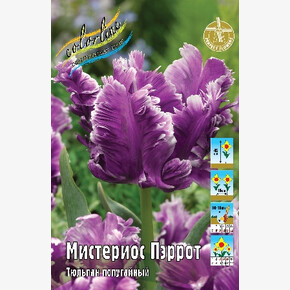 Тюльпан Мистериос Пэррот