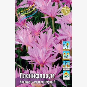 Колхикум Пленифлорум