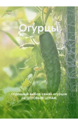 огурец
