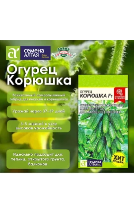 огурец корюшка