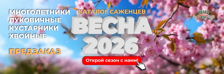Предзаказ весна 2026