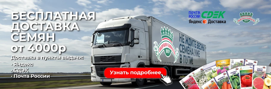 Оплата и доставка