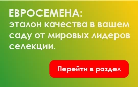 Евросемена