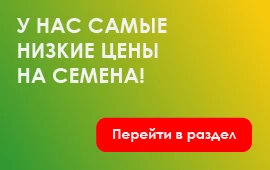 Белые пакеты