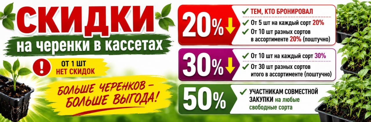 Хиты продаж