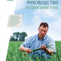 РУКОВОДСТВО ПО БОЛЕЗНЯМ ЛУКА