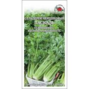Сельдерей черешковый Паскаль /Сотка/ 0,5г/ холодоуст./*1200