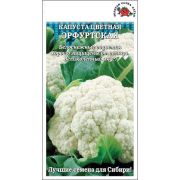 Капуста цветная Эрфуртская /Сотка/ 0,3 г/*1200