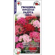 Гвоздика Турецкая Радуга смесь /Сотка/ 0,2г/ d-20см /*1500