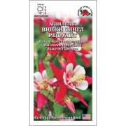 Аквилегия Винки Сингл Ред-Уайт /Сотка/ 5шт/ красно-бел. h-35см d-6см PanAm/*500