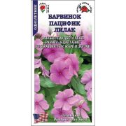 Ком: Барвинок Пацифик Лилак /Сотка/ 7шт/ h-25-35см d-3-5см