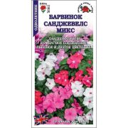 Ком: Барвинок Санджевелс Микс /Сотка/ 10шт/ h-25-30см d-5-5,5см