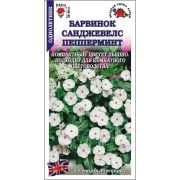 Ком: Барвинок Санджевелс Пепперминт /Сотка/ 10шт/ h-25-30см d-5-5,5см