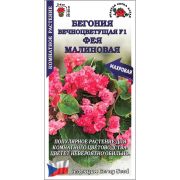 Ком: Бегония вечноцветущая Фея Малиновая /Сотка/ 5 шт/*500
