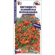 Ком: Бегония Копакабана оранжевая /Сотка/ 5шт/*500