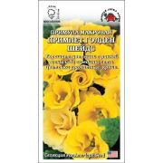 Ком: Примула Примлет Голден шейдс /Сотка/ 5 шт