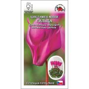 Ком: Цикламен мини Гильда /Сотка/ 3 шт/ кармин-розов. h-30см d-6см Cerny Seed/