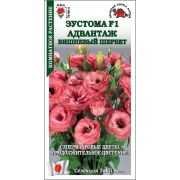 Ком: Эустома Адвантаж Вишневый шербет /Сотка/ 5 шт/*500