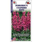 Лобелия Старшип Роуз /Сотка/ 5шт/ h-50-60см d-2,5-3см /*400