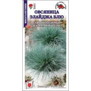 Овсяница Элайджа Блю /Сотка / 5шт/h-20-25см /*500