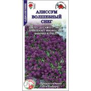 Алиссум Волшебный снег /Сотка/ 0,1г/ фиолет h-12-15см d-3-5см /*1500