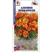 Бархатцы Алюмия Крем-Брюле F1 /Сотка/ 10шт/ h-25-30см d-6см/*1800