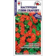Настурция Глим Скарлет /Сотка/ 0,5г/ h-250см, d-5см/*500