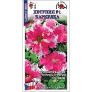 Петуния Каркулка F1 /Сотка/ 10шт/ роз.-бел. бахр. h-35см d-6см/*500