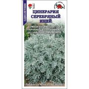 Цинерария Серебряный иней /Сотка/ 0,05г/ h-20см/*2000