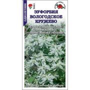 Эуфорбия Вологодское кружево /Сотка/ 0,2г/ h-50-60см /*900