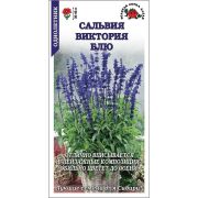 Сальвия Виктория Блю /Сотка/ 0,05г / h-30-40см мучнистая /*1500