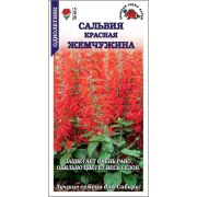 Сальвия Красная Жемчужина /Сотка/ 0,1г/ h-30-45см/*1500