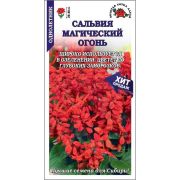 Сальвия Магический огонь /Сотка/ 0,1г/ h-20см/*1300