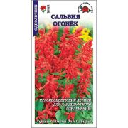 Сальвия Огонек /Сотка/ 0,1 г h 80-85см/*1500