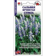 Сальвия Страта /Сотка/ 10шт/ синяя h-40см/*