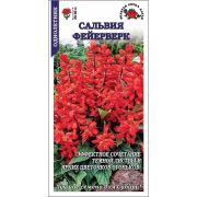 Сальвия Фейерверк /Сотка/ 0,05г/ h-20см/*1500
