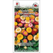 Гелихризум Карликовая смесь /Сотка/ 0,1 г/*1500