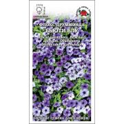 Флокс Бьюти Блу /Сотка/ 0,1г/ голуб. h-25см, d-2см/*1500