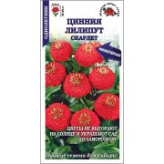 Цинния Лилипут Скарлет /Сотка/ 0,2 г/ красн. h-35см, d-8см/*1000