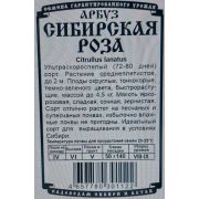 арбуз Сибирская роза (8 шт Б/П)