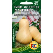 тыква мускатная Матильда /3 шт ДемСиб/ Enza Zaden (Голландия)