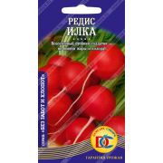 редис Илка /2 гр Дем Сиб/