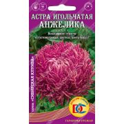 цветы Астра Анжелика игольчатая /0,2 гр Дем Сиб/