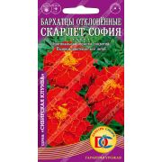 цветы Бархатцы Скарлет София откл. махр. /0,2 гр Дем Сиб/