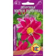 цветы Георгина Мигнон Пурпурная /0,1 гр Дем Сиб/