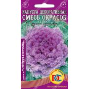цветы Капуста декоративная /0,1 гр Дем Сиб/